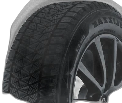 Bridgestone Blizzak DM-V2