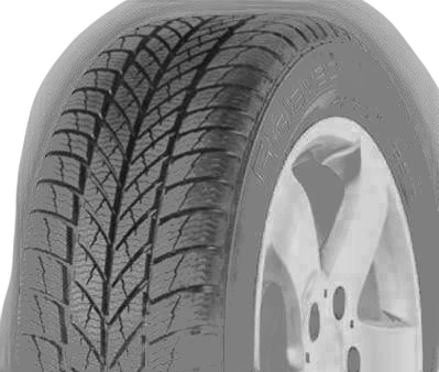 Gislaved Euro Frost 5