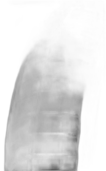 Goodyear Eagle F1 Asymmetric