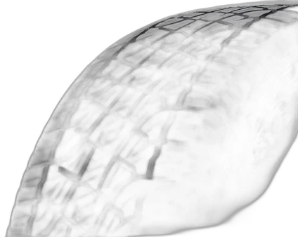 Pirelli Scorpion ATR