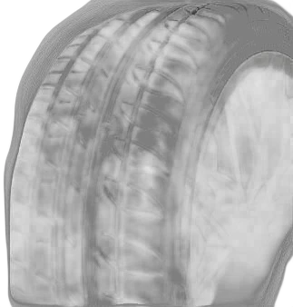 Tigar High Performance