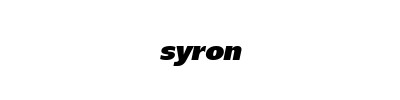 Syron Everest 1 X