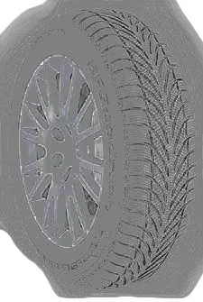 BF Goodrich g-force Winter