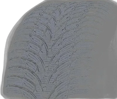 Nokian WR D3